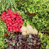 سبزی خوردن تحویل رایگان درب منزل.