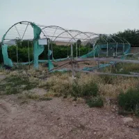 گلخانه ۱۳۰متری