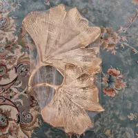 ظرف پذیرایی
