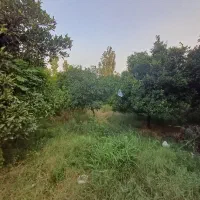 خانه سرا