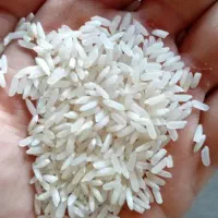 بنرج هاشمی قیمت قدیم