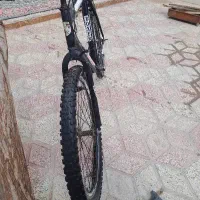 دوچرخه 26|دوچرخه، اسکیت، اسکوتر|تایباد, |دیوار