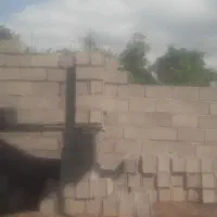 دیوار چینی وسیمان کاری
