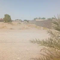 زمین