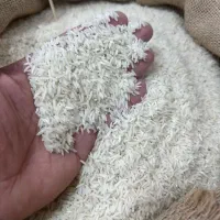 برنج اصل شمال