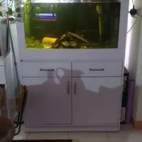 اکواریوم با کمد و ماهی