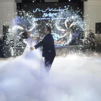 همکار خانم