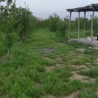 باغ هزارمتر