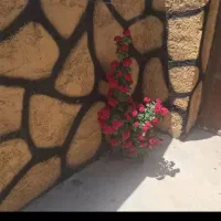 ویلایی 2خواب،روستای ابر جنگل ابر
