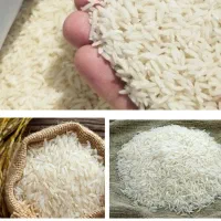 حراج عرضه مستقیم انواع برنج