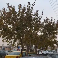 مغازه-با-10-متر-مشرف-به-میدان-و-خیابان-امام