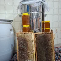 عسل قاب و ظرفی