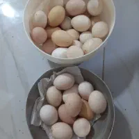 تخم مرغ محلی