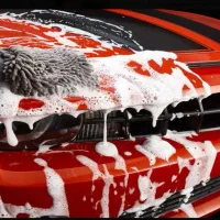 بکار گیری نیروی کارواش