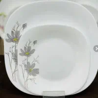 سرویس ارکوپال  ۱۲ نفره