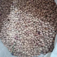 لوبیا چیتی