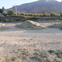 علف گزره