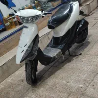 پاکشتی دیو