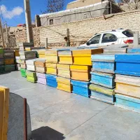 جعبه کندو طبق زنبور