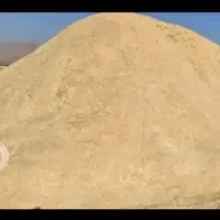 کاه نرم گوسفندی