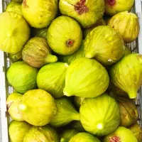 انجیر ژاپنی تازه چین