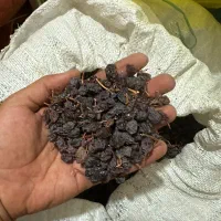 مویز|خوردنی و آشامیدنی|داراب, |دیوار
