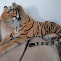 حراج ببر یک متری معاوضه با قابلمه روحی