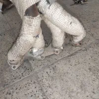 هدرز پژو ۲۰۶ تیپ ۲