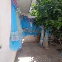 شکار بالا و مقاوم