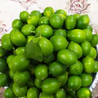 فروش لیمو شیشه