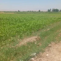 زمین-باغچه-قمش-جاده-شمس-اباد