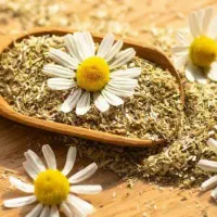 کسب درآمد درمنزل