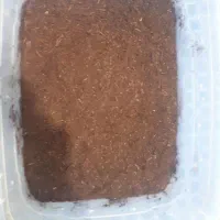 خاک حلزون