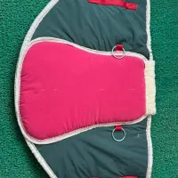 ست سبز اسب سواری