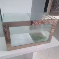 دو عدد آکفاریوم
