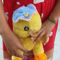 عروسک بدلیلی فروخته میشود