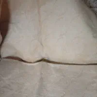 موکت دسته۲