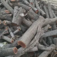 خریدار انواع چوب زغال و تنه و کنده و ریشه درخت