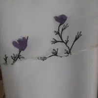 مجلسی دخترانه