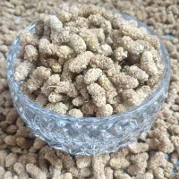 توت خشک ارگانیک درجه یک