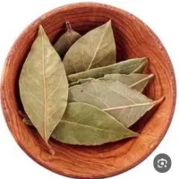 برگ بو|خوردنی و آشامیدنی|شاهین‌شهر, خانه کارگر|دیوار