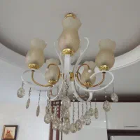 لوستر بسیار سالم وزیبا