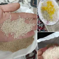 برنج فجر سوزنی