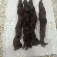 مو سالم رنگ نشده،دویست گرم،پنجاه سانت