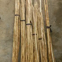 چنار دستە بیلی