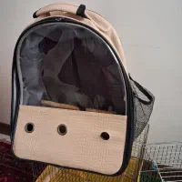 کوله پشتی حمل پرنده
