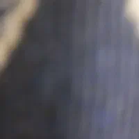 فروش سیم کارت