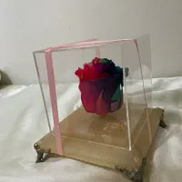 گل رز جاویدان