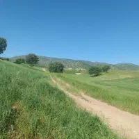 کارگر کشاورزی برای کوهدشت و حومه