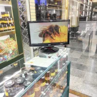 کامپیوتر